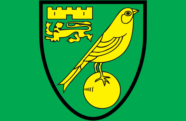 How to Watch Norwich City FC Football Live Online with a VPN