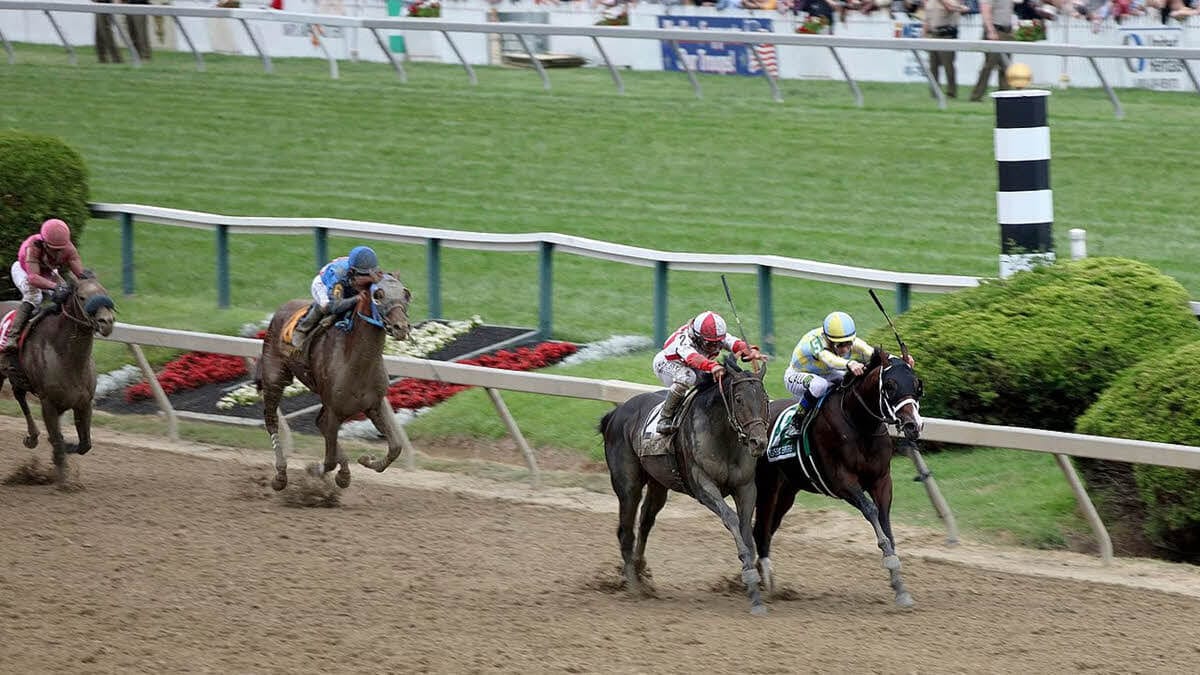 How to Watch Preakness Stakes Online with a VPN