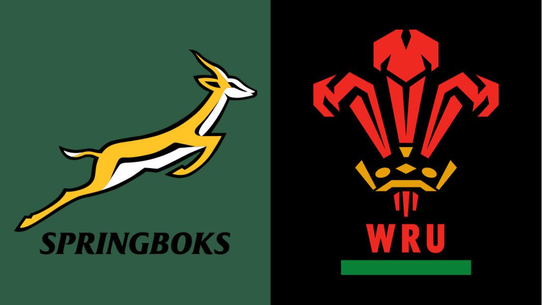 How to Watch South Africa vs Wales Rugby Live Online VPN For Sports